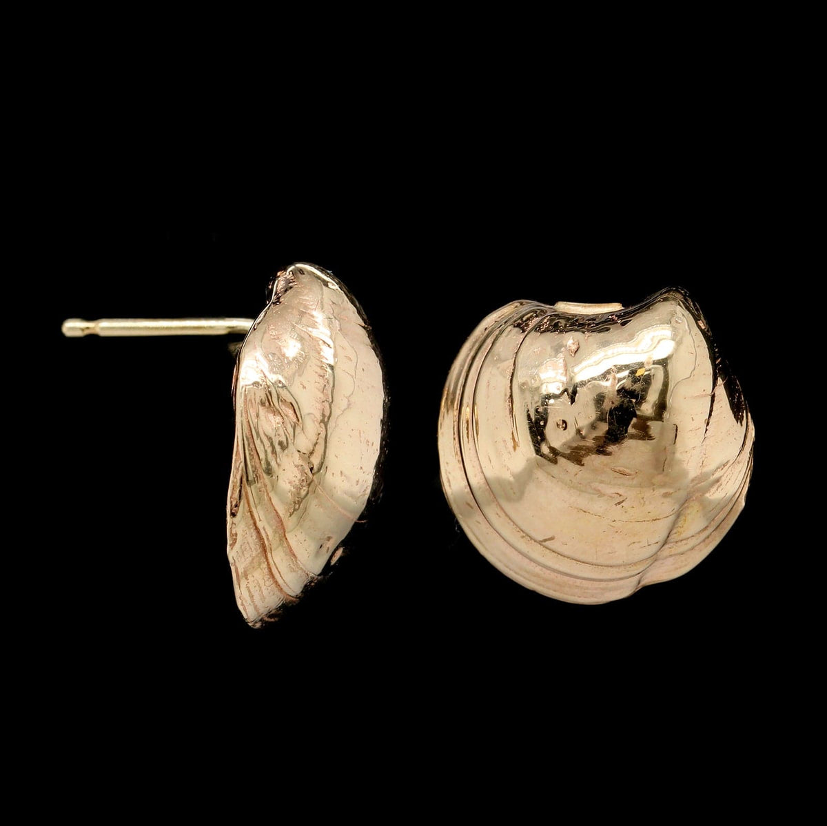 14K Yellow Gold Estate Shell Earrings