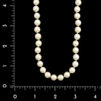 Tiffany & Co. 18K Yellow Gold Estate Akoya Cultured Pearl Necklace