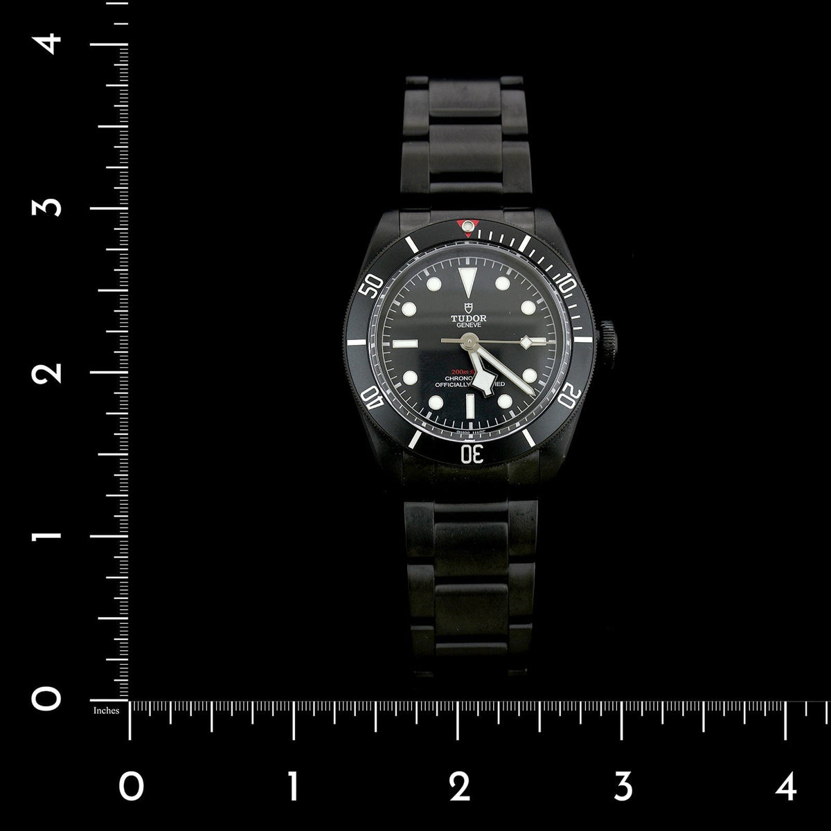 Tudor Estate Palladium Black Bay Dark Wristwatch